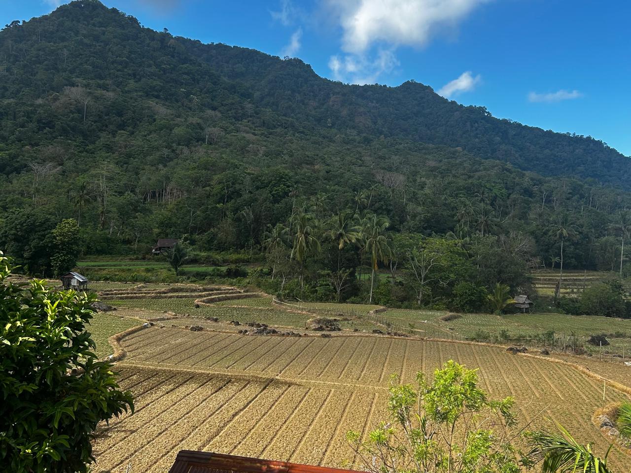 Pertanian & Perkebunan